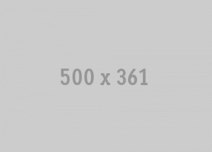 500x361
